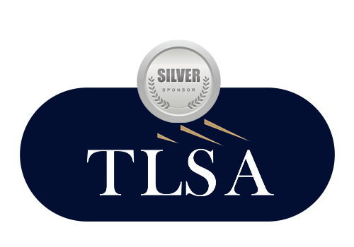 tsla silver