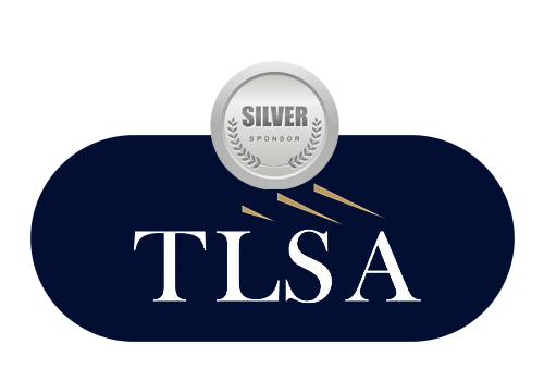 tsla silver
